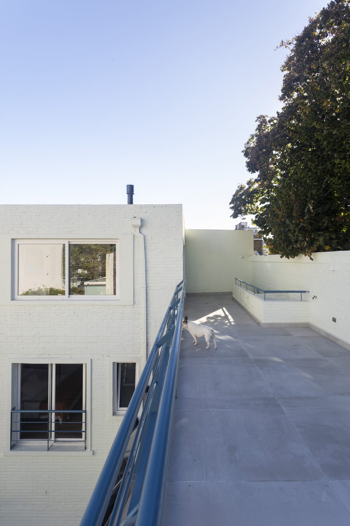 Casa Diagonal — baño